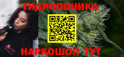 ECSTASY Моздок
