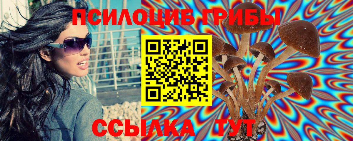 Галлюциногенные грибы мицелий Арзамас